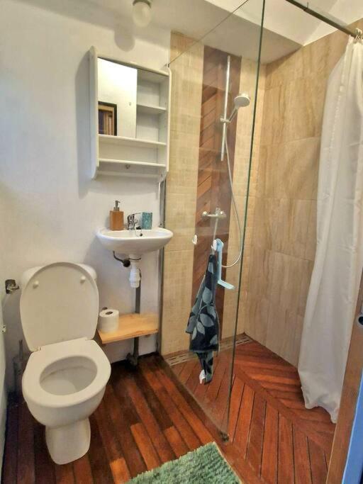 Chaleureux Appartement - Hyper Centre - Charbonnet トロワ エクステリア 写真
